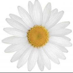User Profile: Annie65