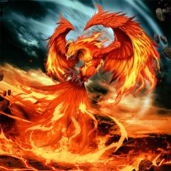 User Profile: ChaosReigns