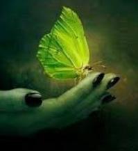 User Profile: GreenGlowingButterflee