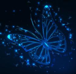 User Profile: BlueGlowingButterflee