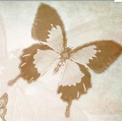 User Profile: BrownGlowingButterflee