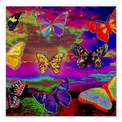 User Profile: AntisocialButterfly8801