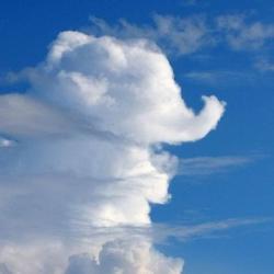 User Profile: Cloudshapes