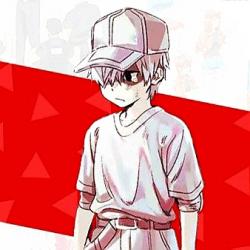User Profile: u1146