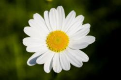 User Profile: Kat0987