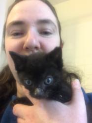 User Profile: TealTempest27