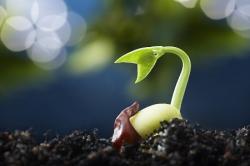 User Profile: reliableTree6443