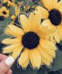 User Profile: LizzieR0717