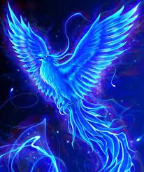 User Profile: BluePhoenix04