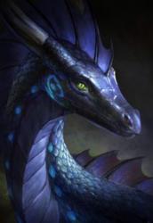 User Profile: ShyDragon457