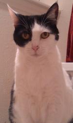 User Profile: orangeDay6463