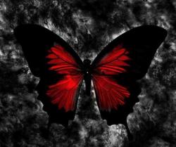 User Profile: RubyRedGlowingButterflee