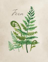 User Profile: ForestFern12