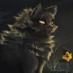 User Profile: Fang095