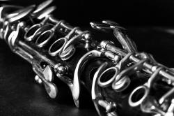 User Profile: QuietMusician