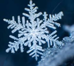 User Profile: Winters12
