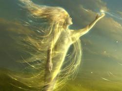 User Profile: Windwhisperer