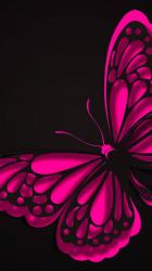 User Profile: SearchingButterfly72