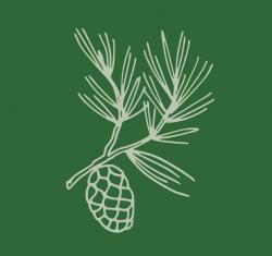 User Profile: CozyPineForest