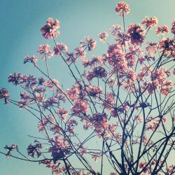User Profile: Sophie179