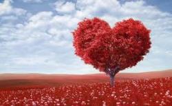 User Profile: Inlove19