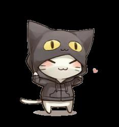 User Profile: Iwaku