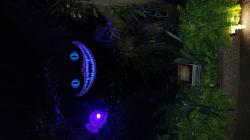User Profile: Justconfused87