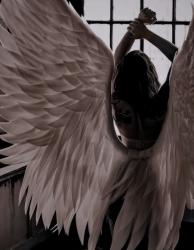 User Profile: midnightangel02