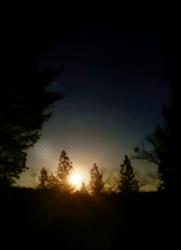 User Profile: Peaceintruth