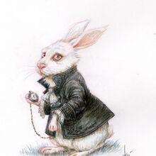 User Profile: TheWhiteHare