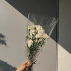 User Profile: mededicatedstudent
