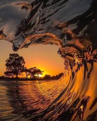 User Profile: shallowWater7547