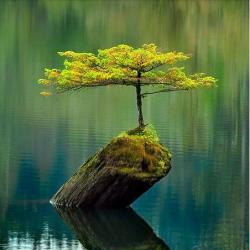 User Profile: compassionateBranch6097