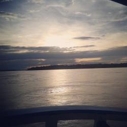 User Profile: OlhosCastanhos