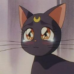 User Profile: cinnamonblue77