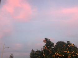 User Profile: weatherphoto