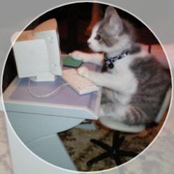 User Profile: Fosterkittycat