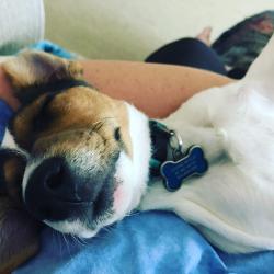 User Profile: frostbitten333