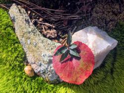 User Profile: reservedPlum