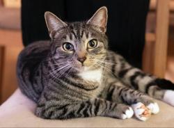 User Profile: howsitgoinduud