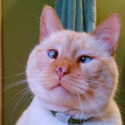 User Profile: wanttohaveabigheart
