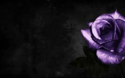 User Profile: LonelyJinx