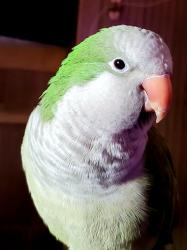 User Profile: crystalhawk