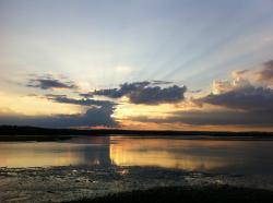 User Profile: Alaska0617