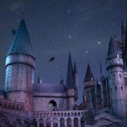 User Profile: peachHouse5422