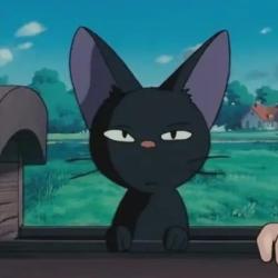 User Profile: honestGrapefruit6776