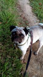 User Profile: crossbonesmile