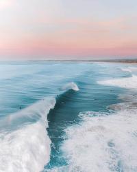 User Profile: halisocean