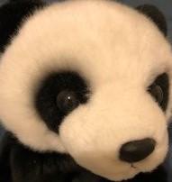 User Profile: ImaginativePenny152