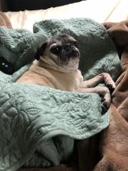 User Profile: JustSad7748